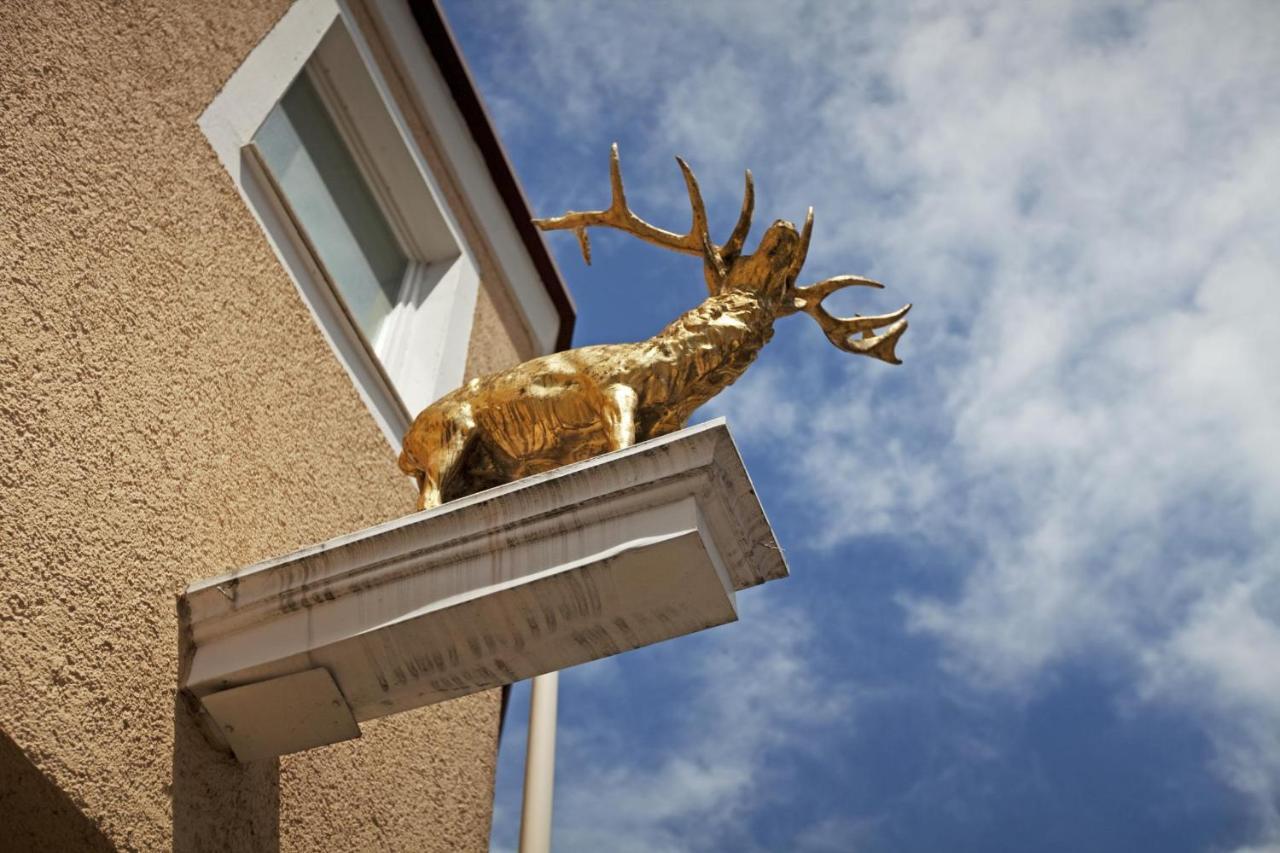 Hotel Hirsch Leonberg Kültér fotó